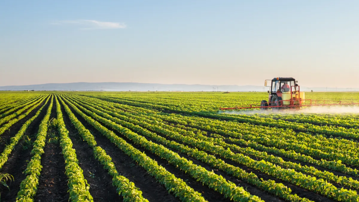 Agriculture & Farmland